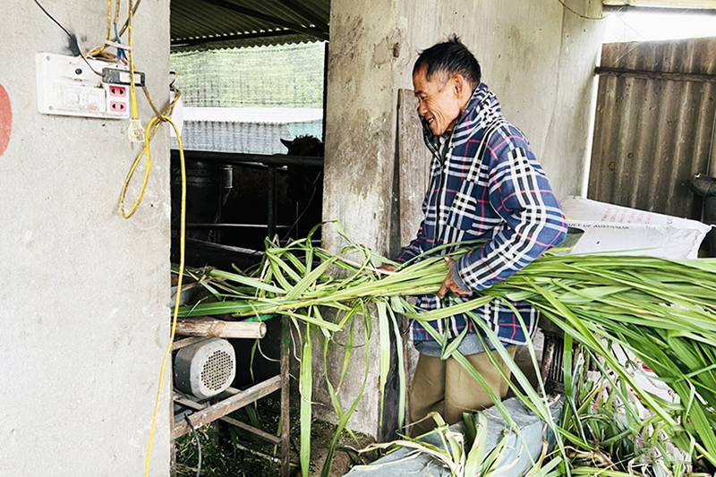 phương án chống rét cho gia súc