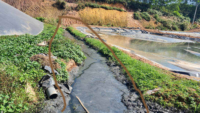 chăn nuôi ô nhiễm