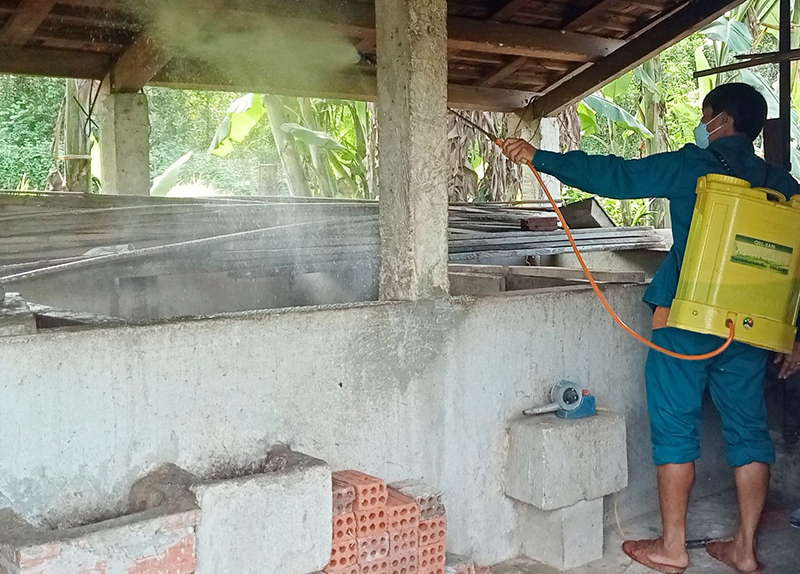 tả lợn châu Phi xuất hiện tại Trà Tân và Trà Bui