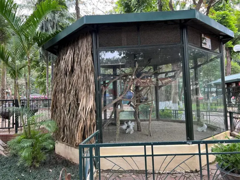Vườn thú Hà Nội ngày rét