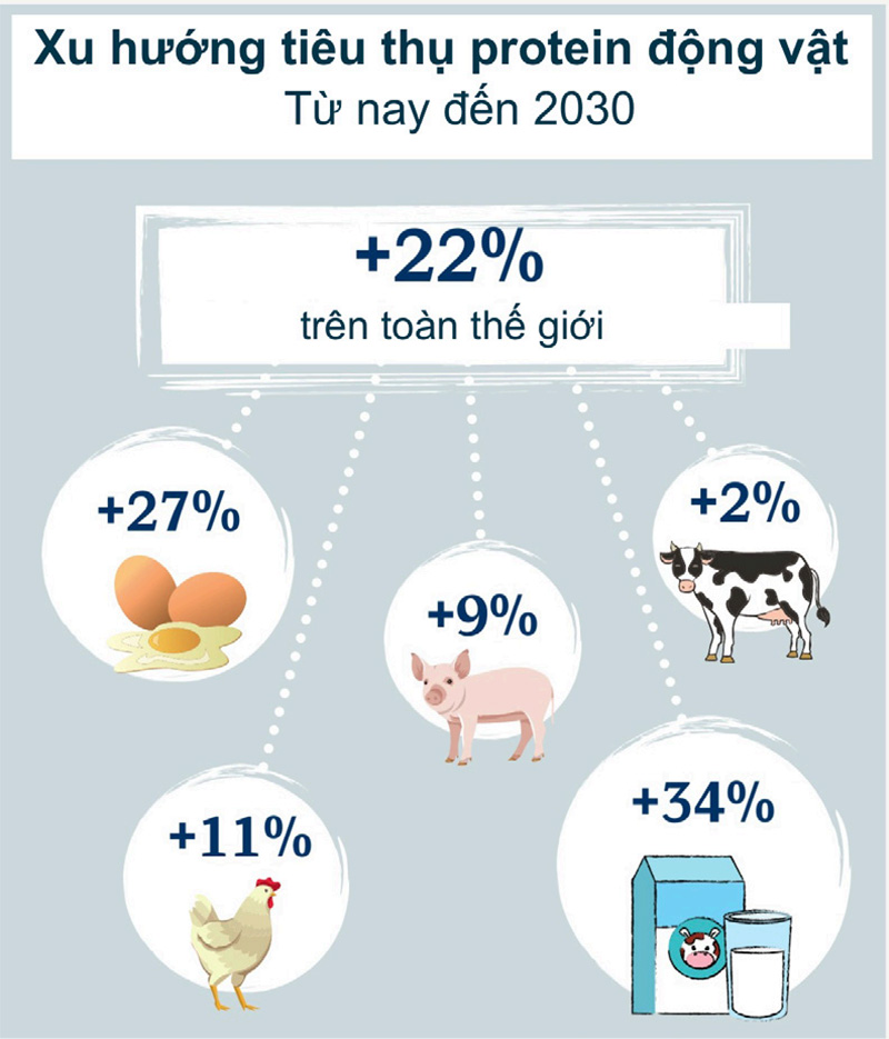 Xu hướng tiêu dùng protein động vật đến 2030