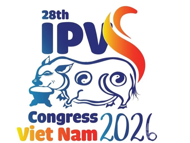 logo IPVS