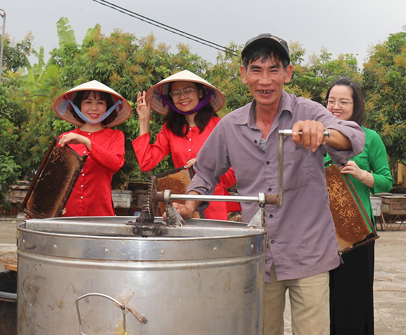 mùa thu mật ong