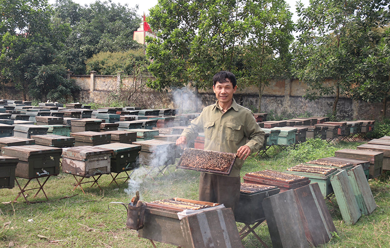 mùa thu mật ong