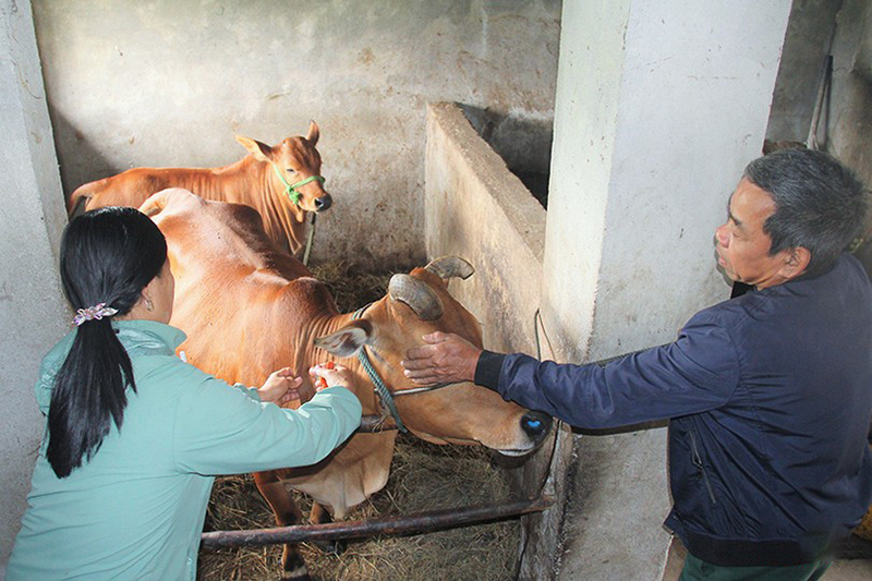 tiêm phòng vaccine