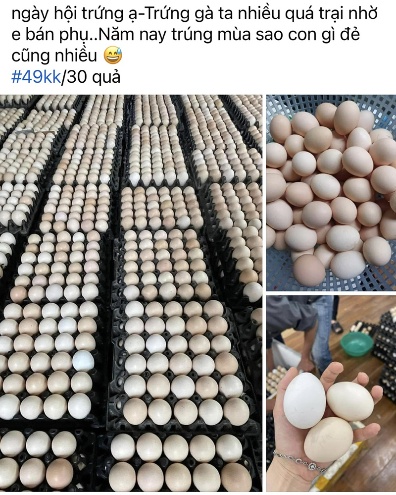 giá trứng gà
