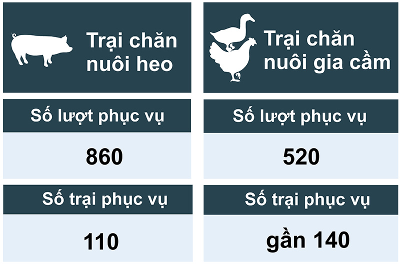 MVS C.P. Việt Nam