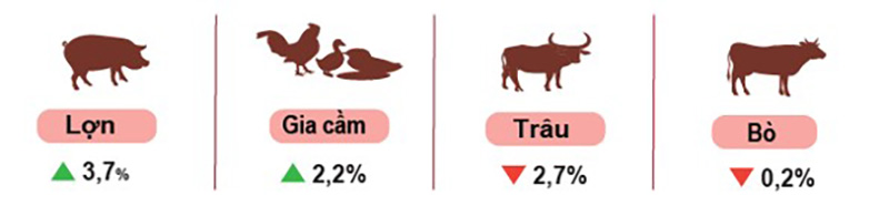 Tốc độ tăng số lượng gia súc, gia cầm