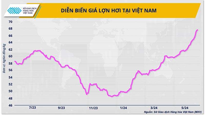 diễn biến giá lợn hơi