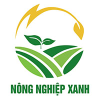 Công ty CP Nông nghiệp xanh Bình Định