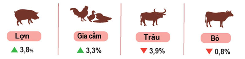 Tăng trưởng đàn gia súc, gia cầm cuối tháng 5