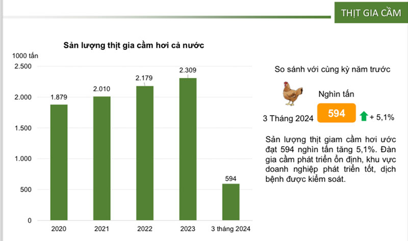 sản lượng thịt gia cầm hơi