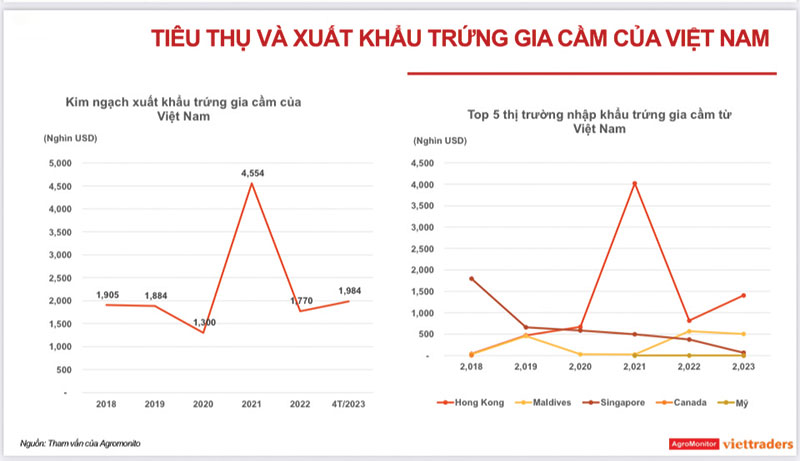 xuất khẩu trứng gia cầm