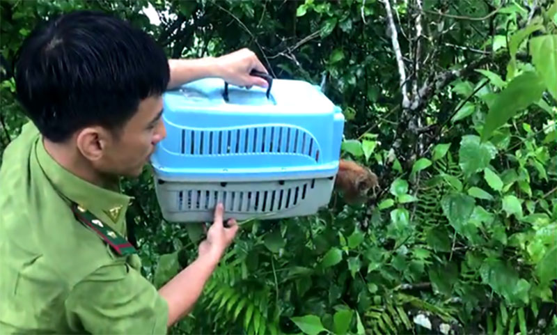 Khu Bảo tồn thiên nhiên Pù Hu