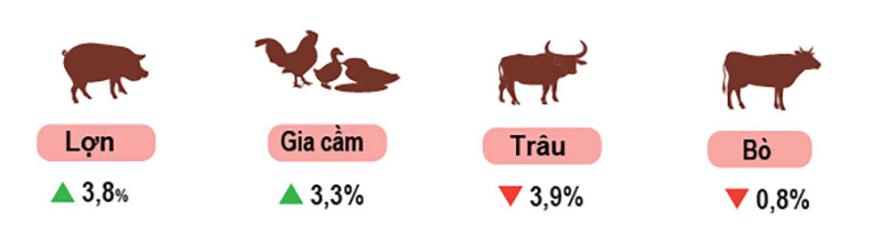 Tốc độ tăng/giảm số lượng gia súc, gia cầm cuối tháng 5/2024