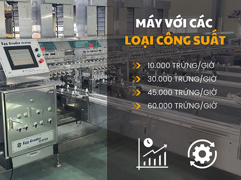 máy phân loại trứng