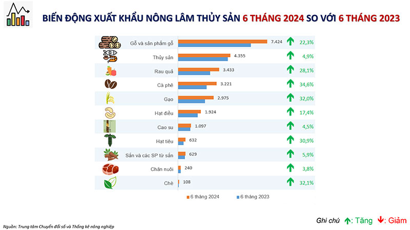 Bản tin phân tích thị trường xuất nhập khẩu nông sản tháng 6 năm 2024