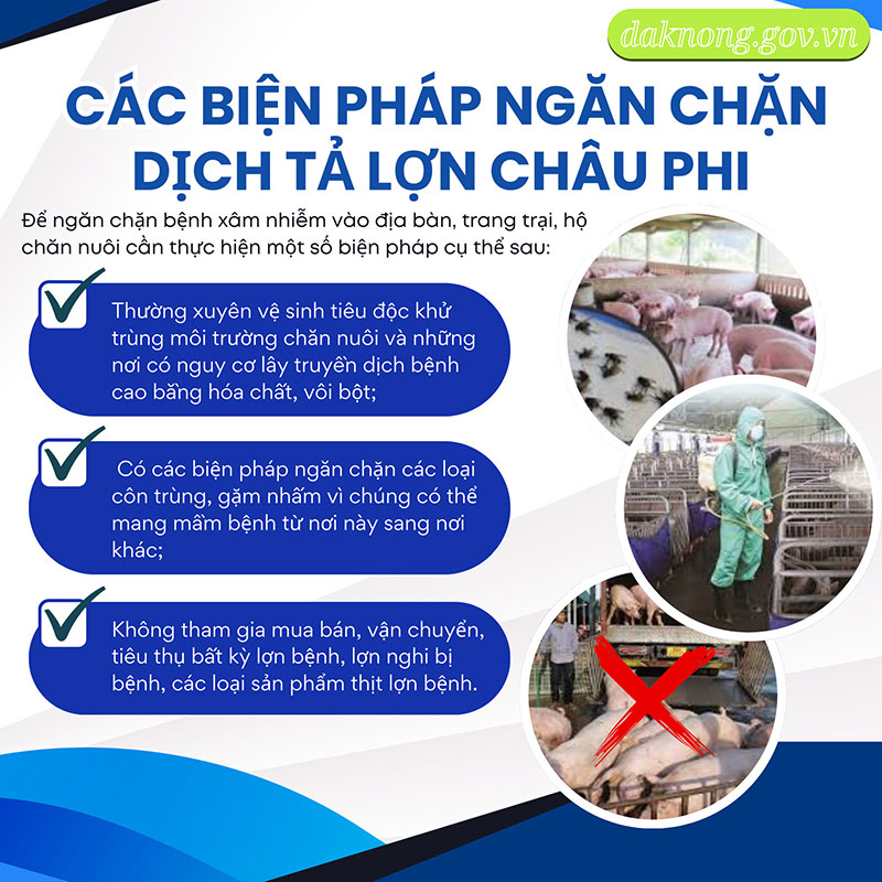 Dịch tả lợn châu Phi