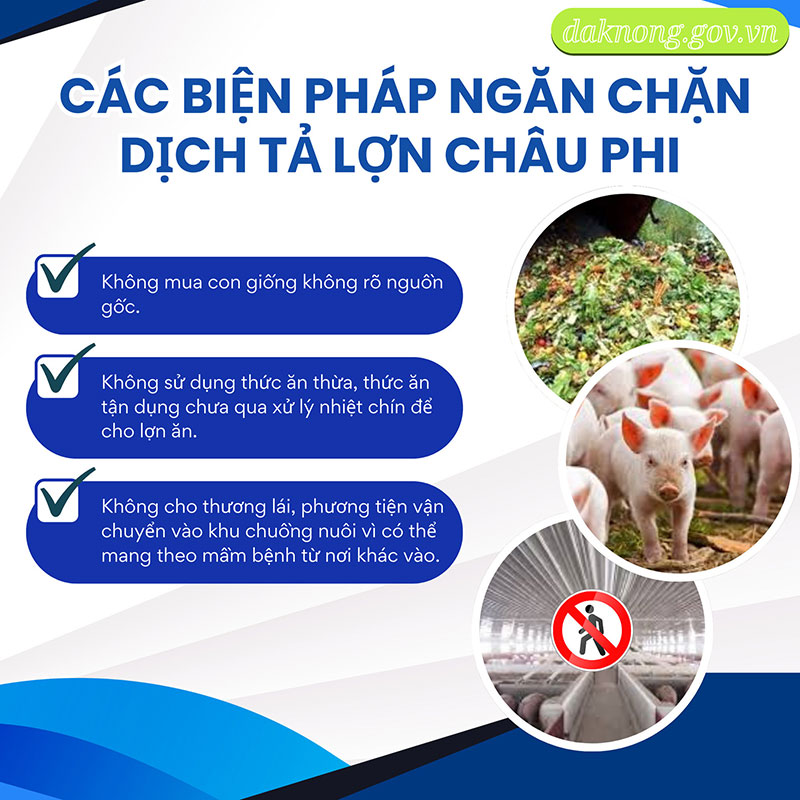 Dịch tả lợn châu Phi