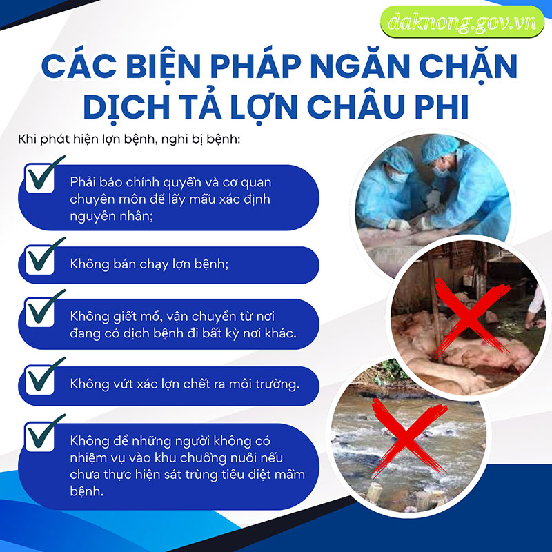 Dịch tả lợn châu Phi