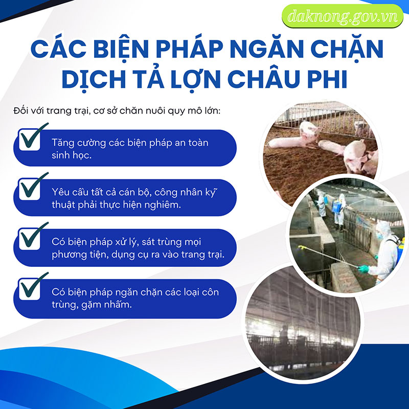 Dịch tả lợn châu Phi