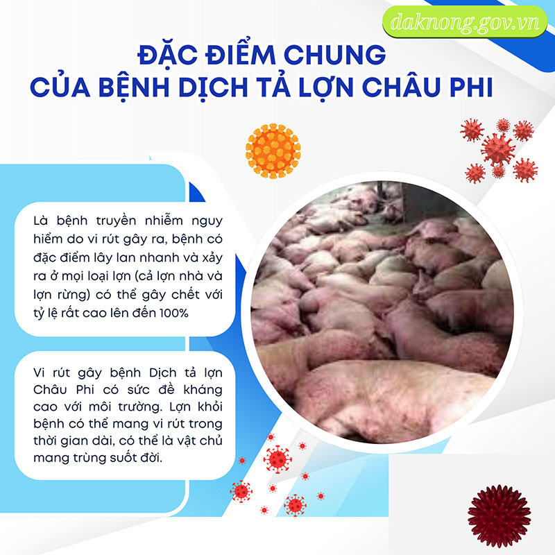 Dịch tả lợn châu Phi