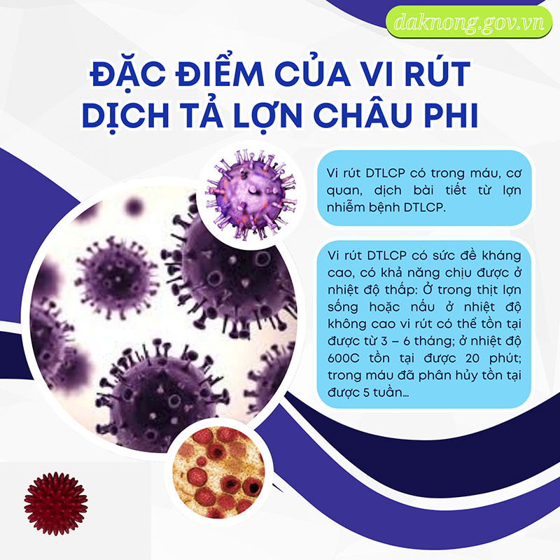 Dịch tả lợn châu Phi