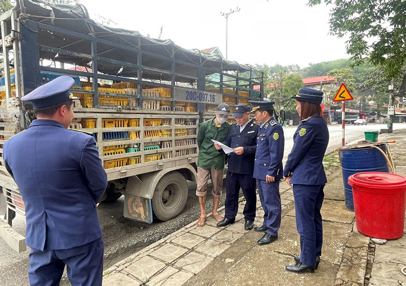 vi phạm hành chính trong lĩnh vực thú y