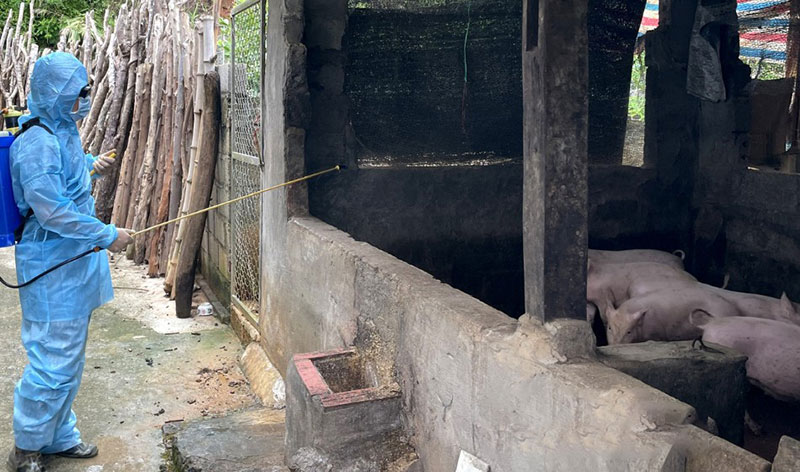 chăn nuôi lạng sơn