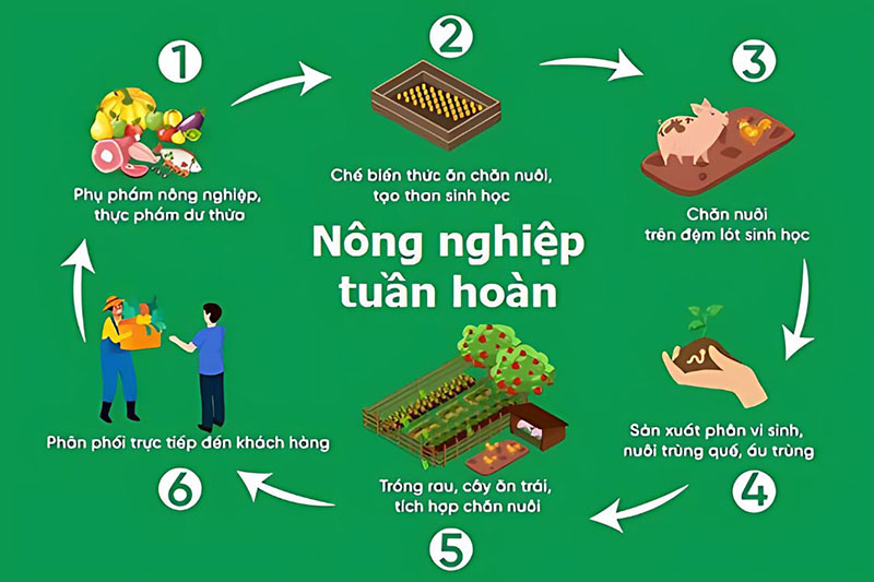 nông nghiệp tuần hoàn