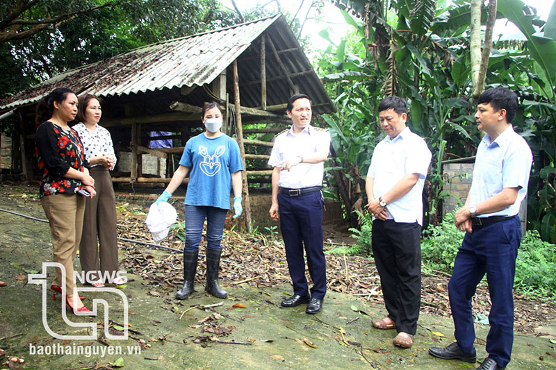 chăn nuôi thái nguyên