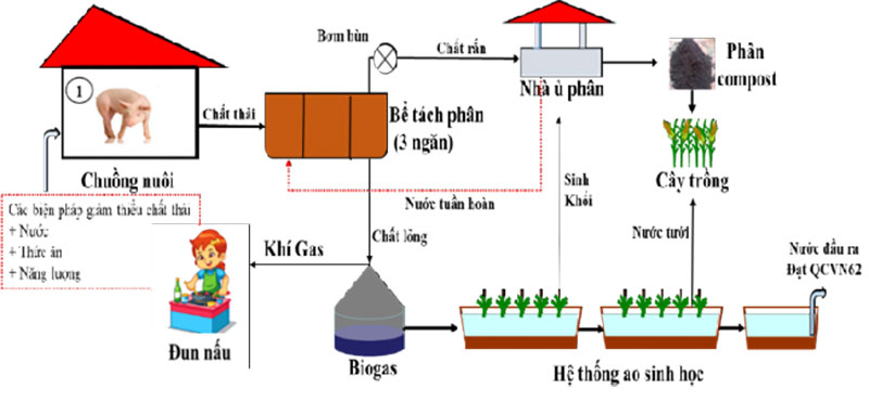 tận dụng chất thải từ chăn nuôi