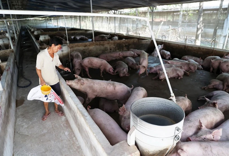 cơ sở chăn nuôi di dời