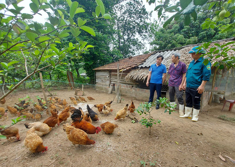 Gà Lạc Sơn