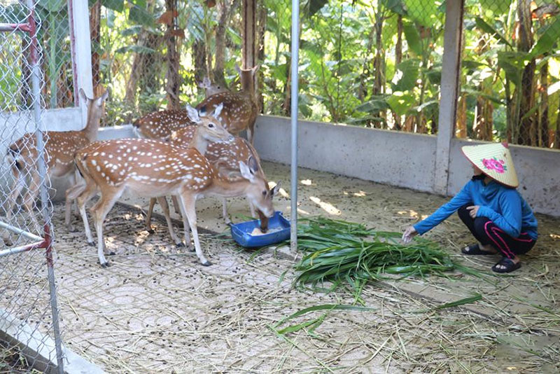 nhà nông làm giàu