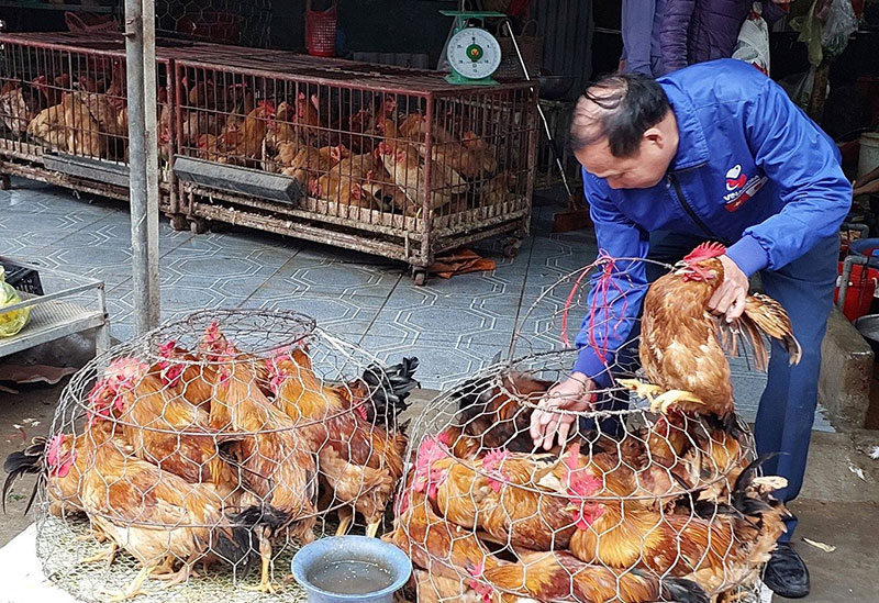 gà trống bán Tết