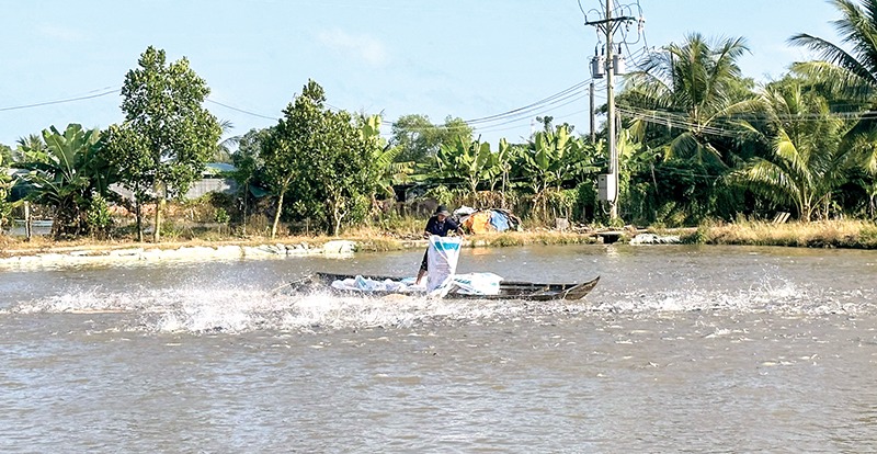 kinh phí phòng chống dịch bệnh