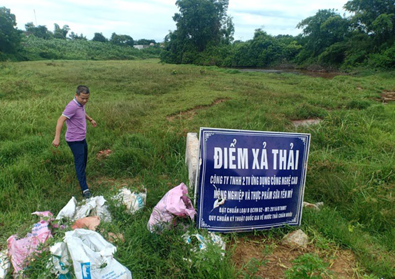 trang trại bò Yên Mỹ