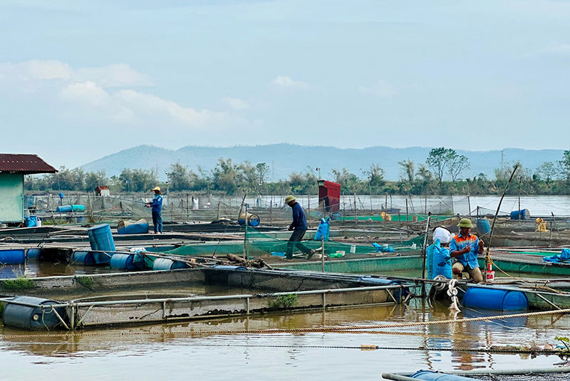 kinh nghiệm giữ an toàn lồng bè