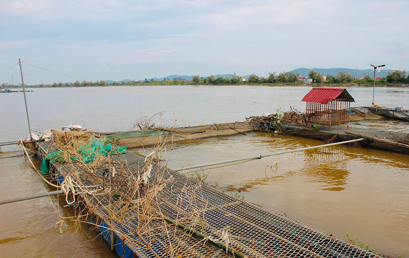 kinh nghiệm giữ an toàn lồng bè