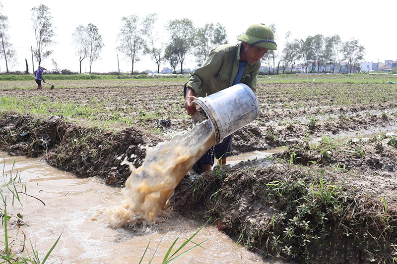 khắc phục sau bão