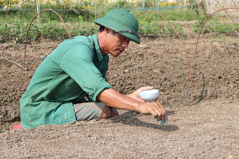 khắc phục sau bão