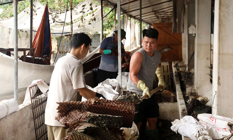 trại lợn bị ngập