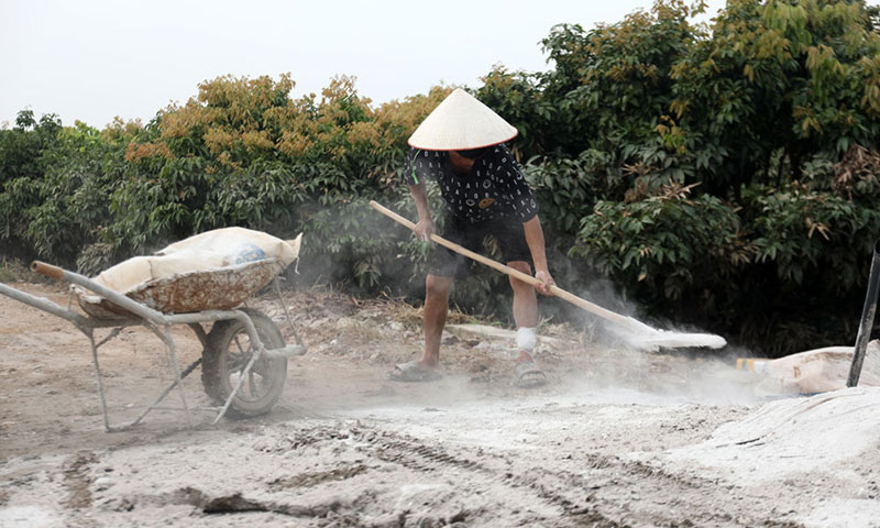 trại lợn bị ngập