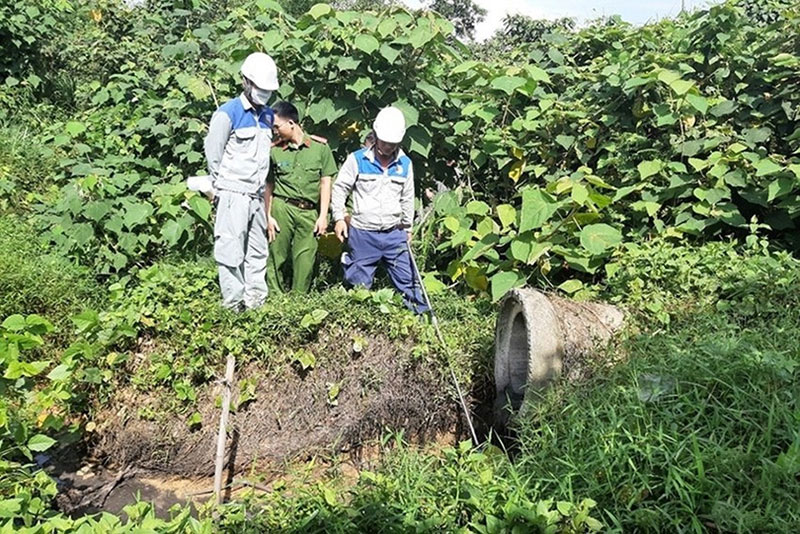 giấy phép môi trường chăn nuôi