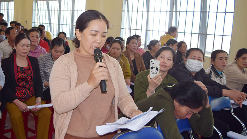 bồi thường bò chết Lâm Đồng