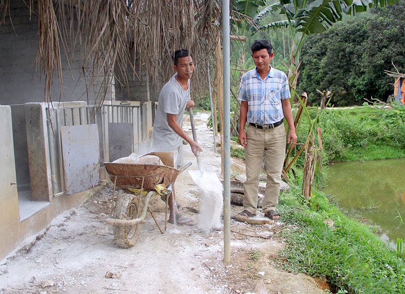 dịch tả lợn châu Phi