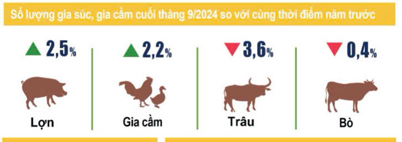 sản lượng gia súc tháng 9/2024