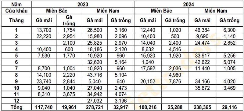 nhập khẩu thịt gà