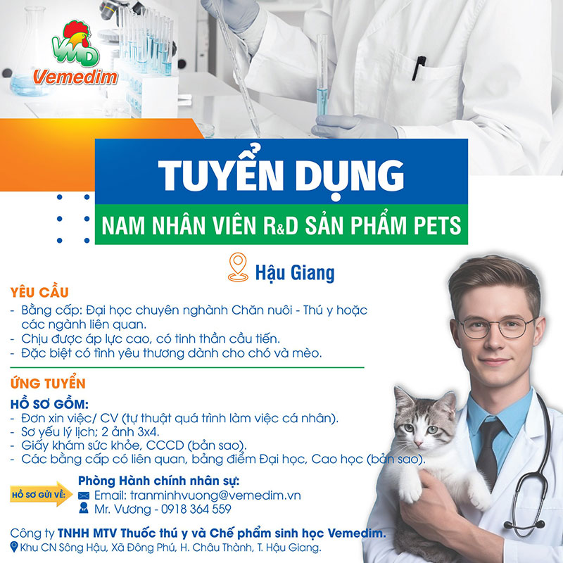 Vemedim tuyển dụng